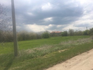 Област Добрич, с. Видно