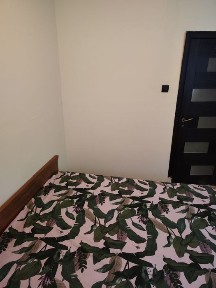 Стая под наем, самостоятелна стая