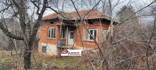 Област Велико Търново, гр. Велико Търново, Акация