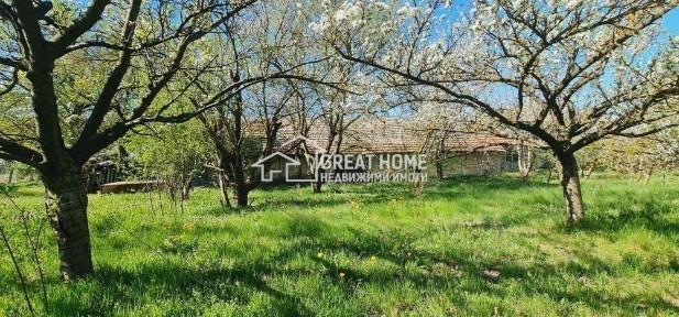 Област Търговище, с. Острец