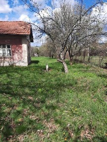 Област Перник, гр. Радомир