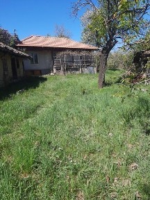 Недвижими Имоти