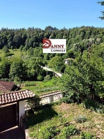 Област Велико Търново, гр. Велико Търново, Акация