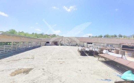 Област Бургас, с. Дрянковец