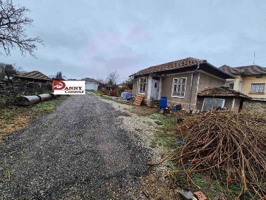 Област Велико Търново, гр. Велико Търново, Акация