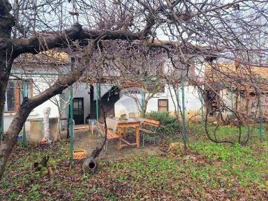 Област Търговище, с. Кардам