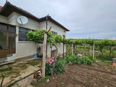 Област Велико Търново, с. Пчелище