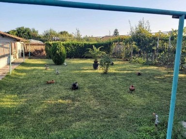 Къща в село Ресен