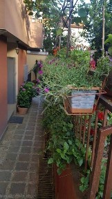 Едностаен - Ахтопол