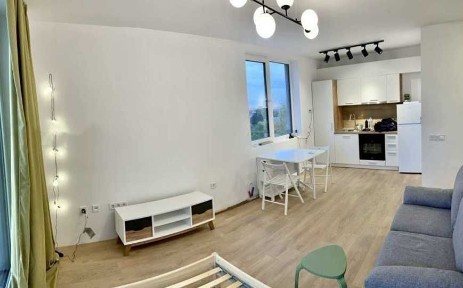 Едностаен ап Витоша под наем