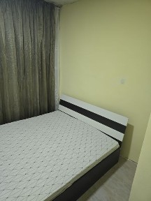 От собственик! Стая под наем, самостоятелна стая