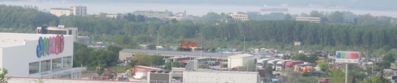 Област Варна, гр. Варна, Владислав Варненчик