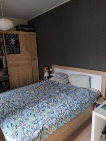 Област Плевен, гр. Плевен, Идеален център