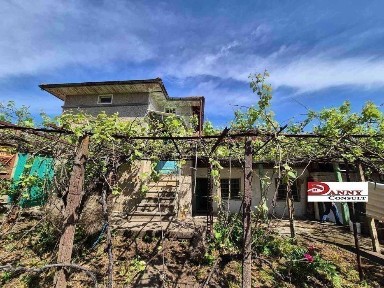 Област Велико Търново, гр. Велико Търново, Акация