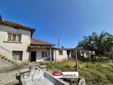 Област Велико Търново, гр. Велико Търново, Акация