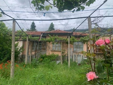 ДВЕ КЪЩИ с двор в центъра на кв. Сушица