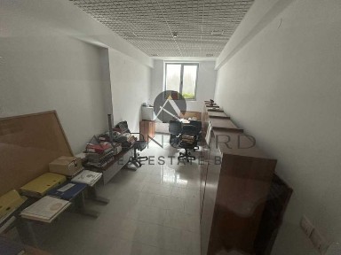 Област Пловдив, гр. Пловдив, Център