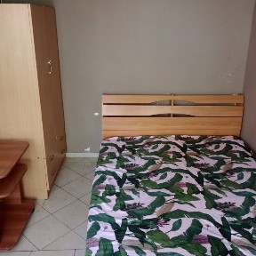 От собственик! Стая под наем, самостоятелна стая под наем