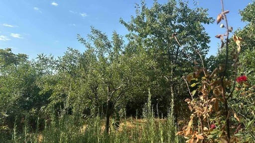 Продава се: Двуетажна къща РЗП 166 кв. м, двор 501 кв. м в град Карлово