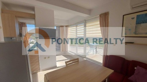 Област Бургас, с. Кошарица