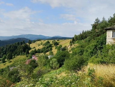 Продавам стара родопска къща в с. Момчиловци