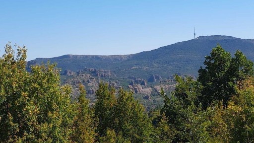 19900 лв. село Пролазница перцел с Къща