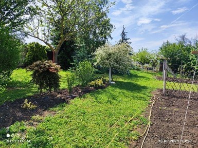 Къща - с. Пленемир !