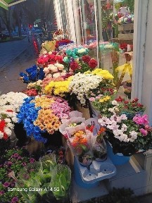 Област Плевен, гр. Плевен, Сторгозия