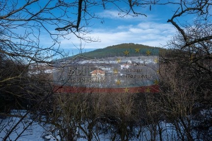 Къща с двор - 4177 м2 в с. Бабица