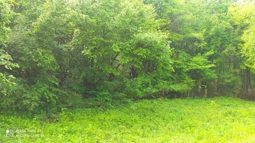 Област Перник, с. Пещера