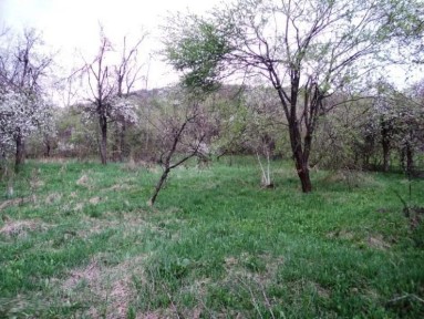 Къща с голям двор в с. Малък извор