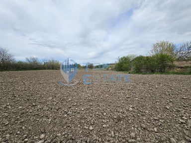 Голям парцел със стара къща в с. Драгомирово
