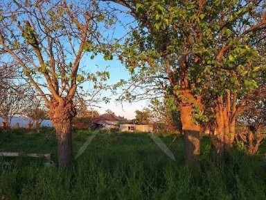 Къща с голям двор в с. Градина 89933