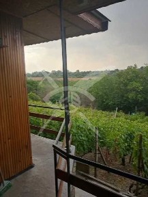 Вила с лозе в Първомай 89996