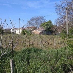 Къща в Гълъбец 90337