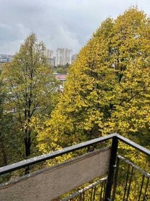 Област София-град, гр. София, Център