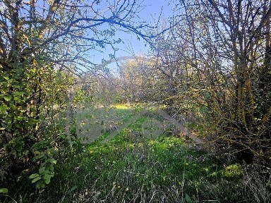 Къща в Варна, област-с. Червенци площ 59 цена 17000