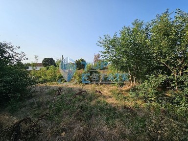 Област Велико Търново, с. Върбица