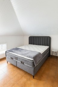 Област Пловдив, гр. Пловдив, Христо Смирненски