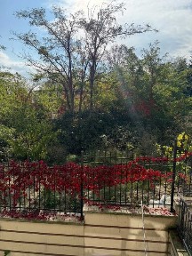 Двустаен апартамент в гр. Бяла