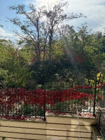 Област Варна, гр. Бяла