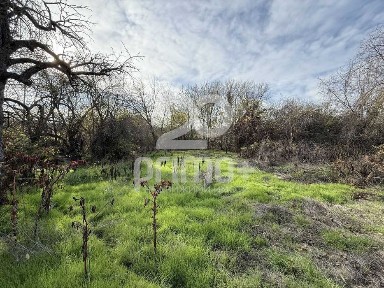 Къща с голям парцел в с. Русаля