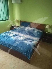 Къща в село Вратица 80816