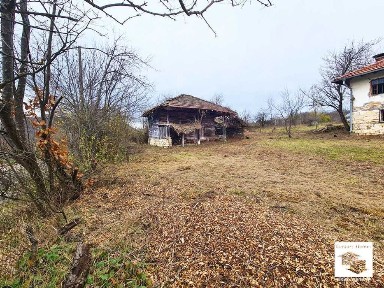 116252 Голям парцел с две къщи и плевня в с. Войнежа