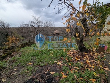 Голям парцел със стара къща в с. Балканци, общ. Стражица, обл. В. Търн