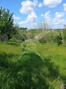 Парцел с къща за ремонт или събаряне в село Белила 95947