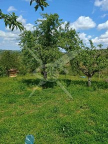 Дворно място с къща за ремонт или събаряне в село Белила 95944