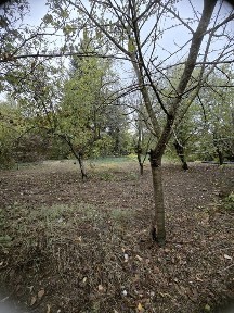 Голяма тухлена къща с гараж и голям южен двор в село Поликраище