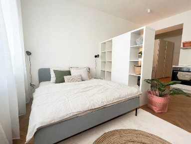 Едностаен апартамент под наем в Каменица 1