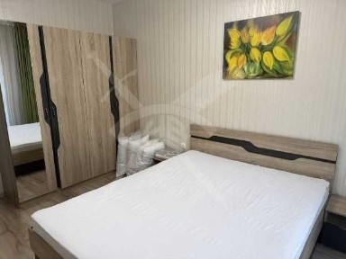 Двустаен апартамент под наем в Центъра 11817871